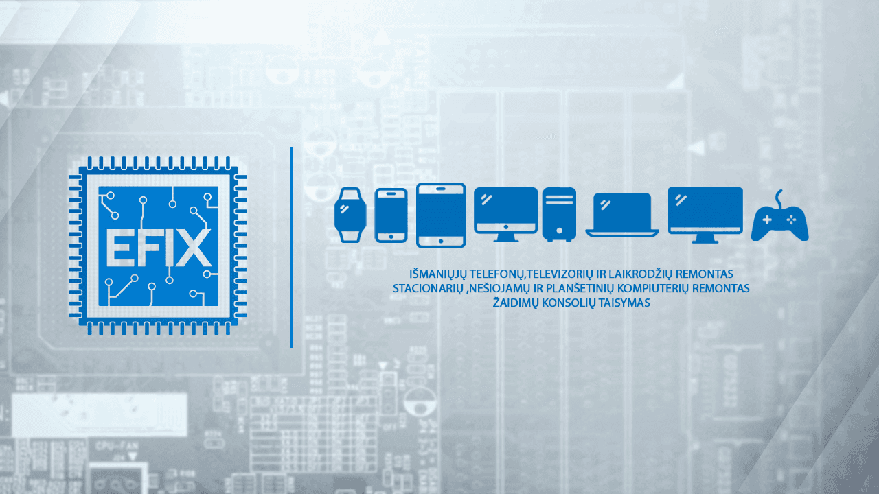 EFIX elektronikos taisyklos komanda Vilniuje