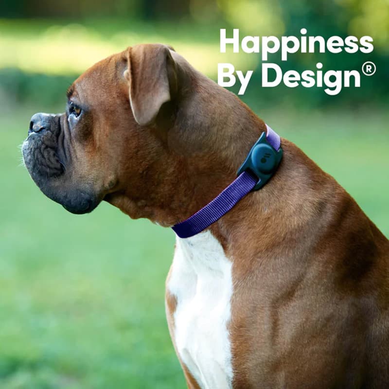 Case-Mate Dog Collar Mount - Case with Collar Mount for Apple AirTag 1 / 2 (Black) 7
