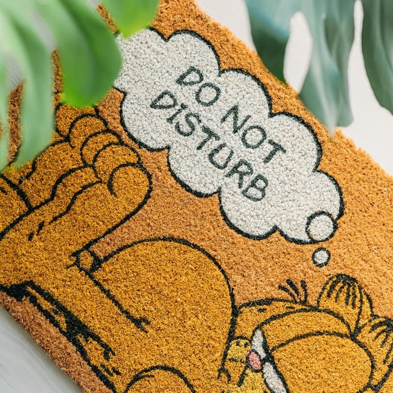 Garfield - Doormat (40 x 60 cm) 5