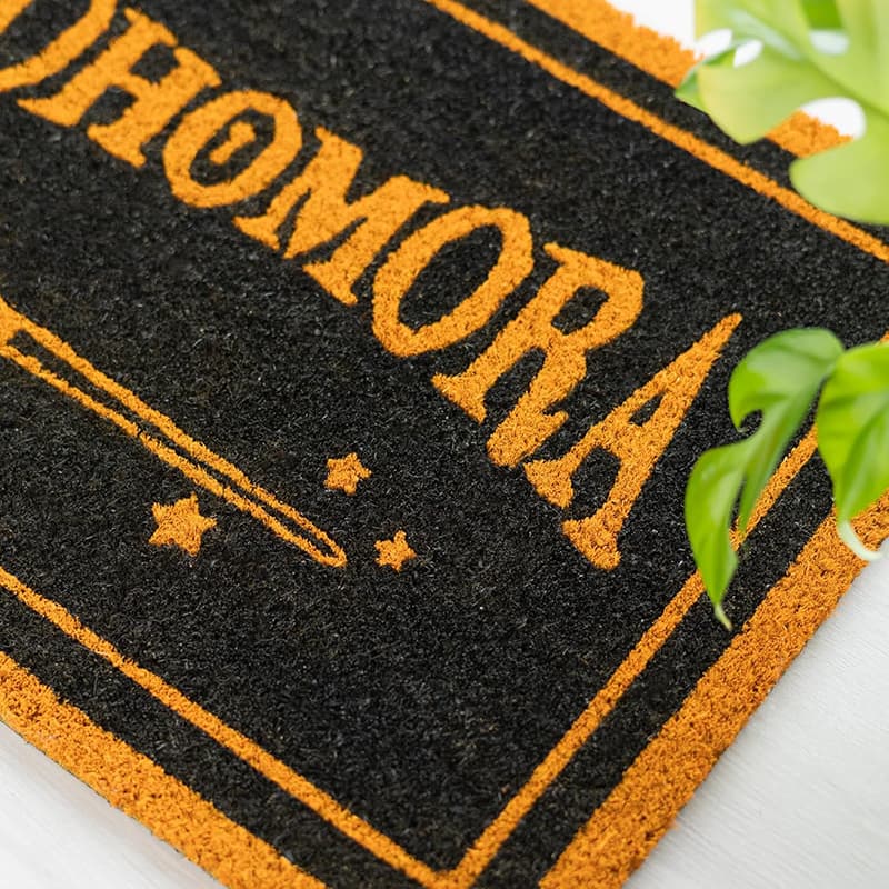 Harry Potter - Alohomora Doormat (40 x 60 cm) 5
