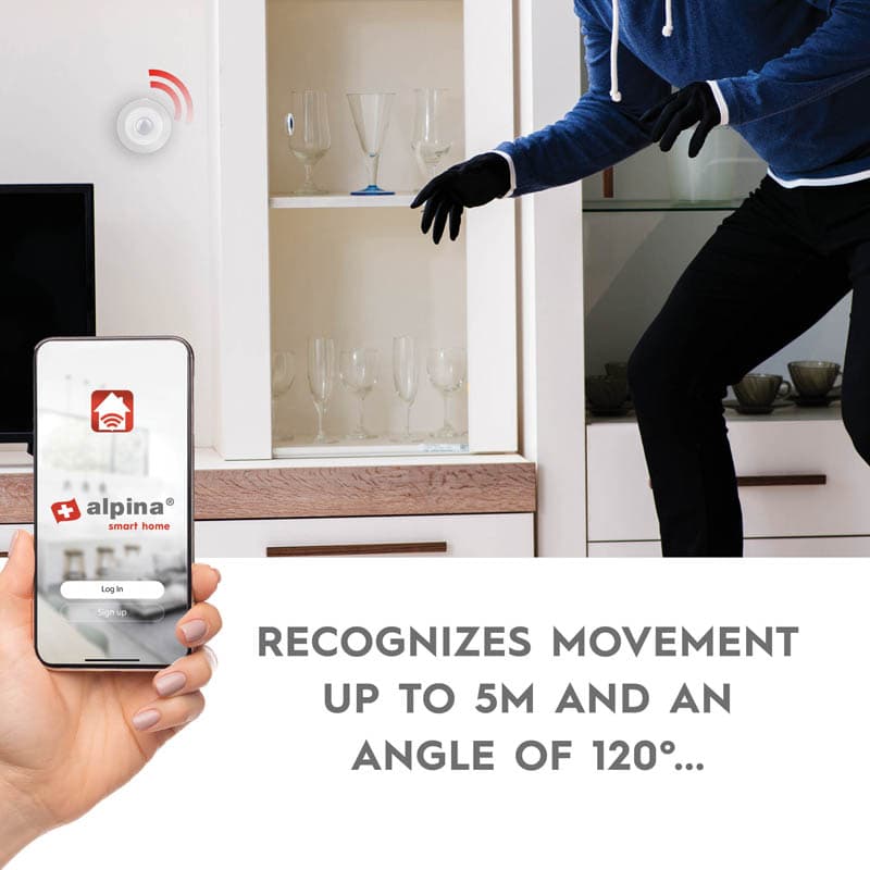 Alpina - Smart PIR motion sensor Zigbee network 4