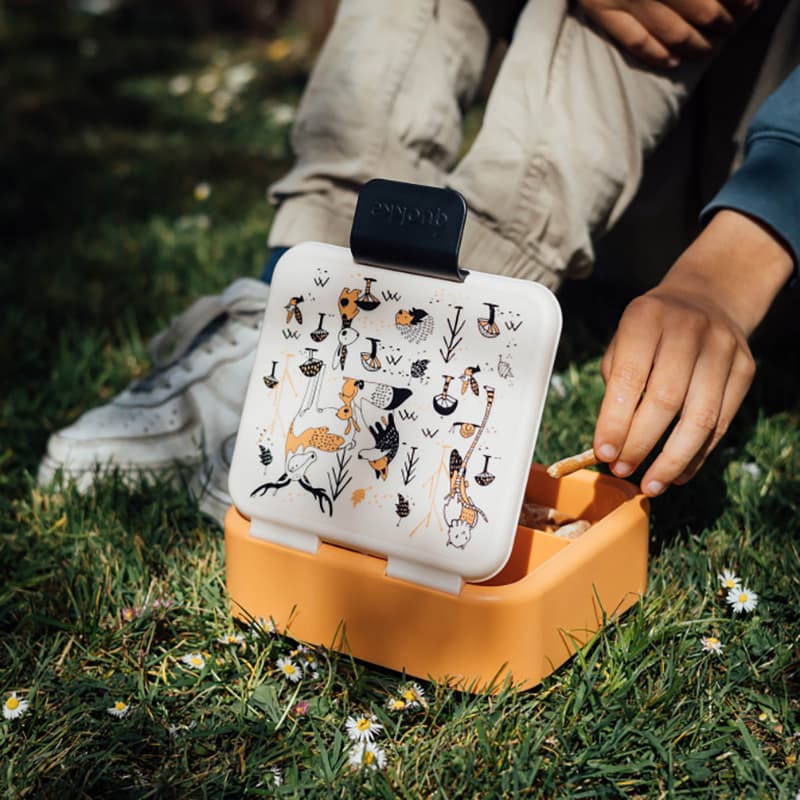 Quokka Twist Kids - Double Walled Food Container/Lunchbox (In The Woods) 2