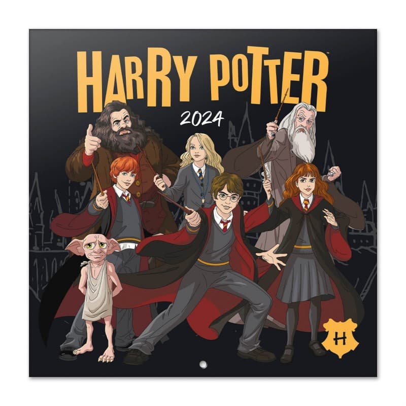 Harry Potter - Wall Calendar 2024 (30 x 30 cm) 1