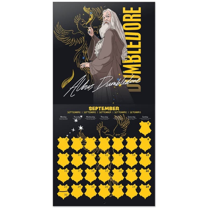 Harry Potter - Wall Calendar 2024 (30 x 30 cm) 2