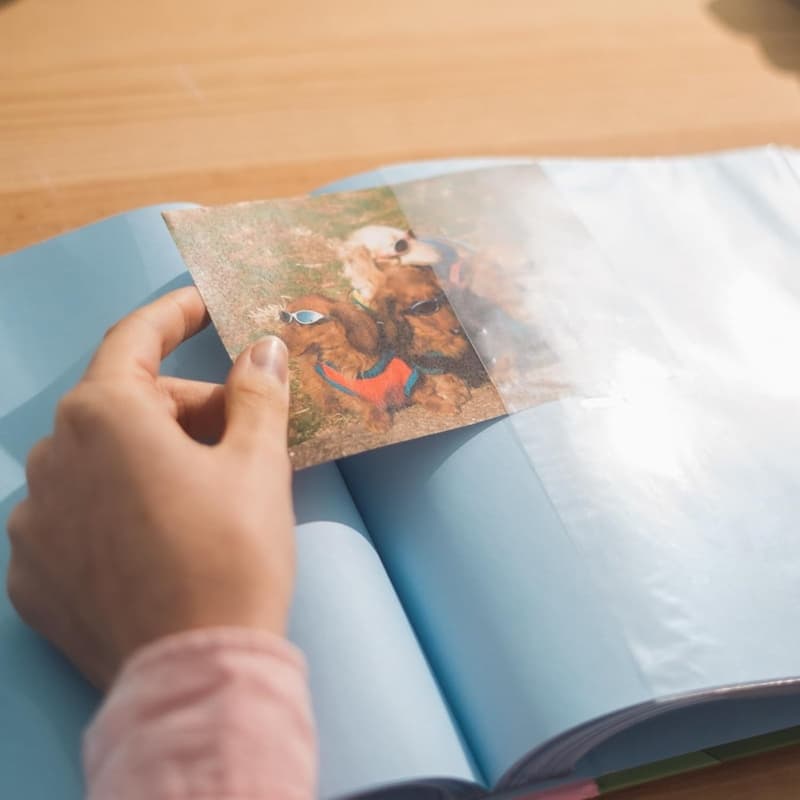 Moomins - Photo Album for 200 Photos 10x15 cm 7