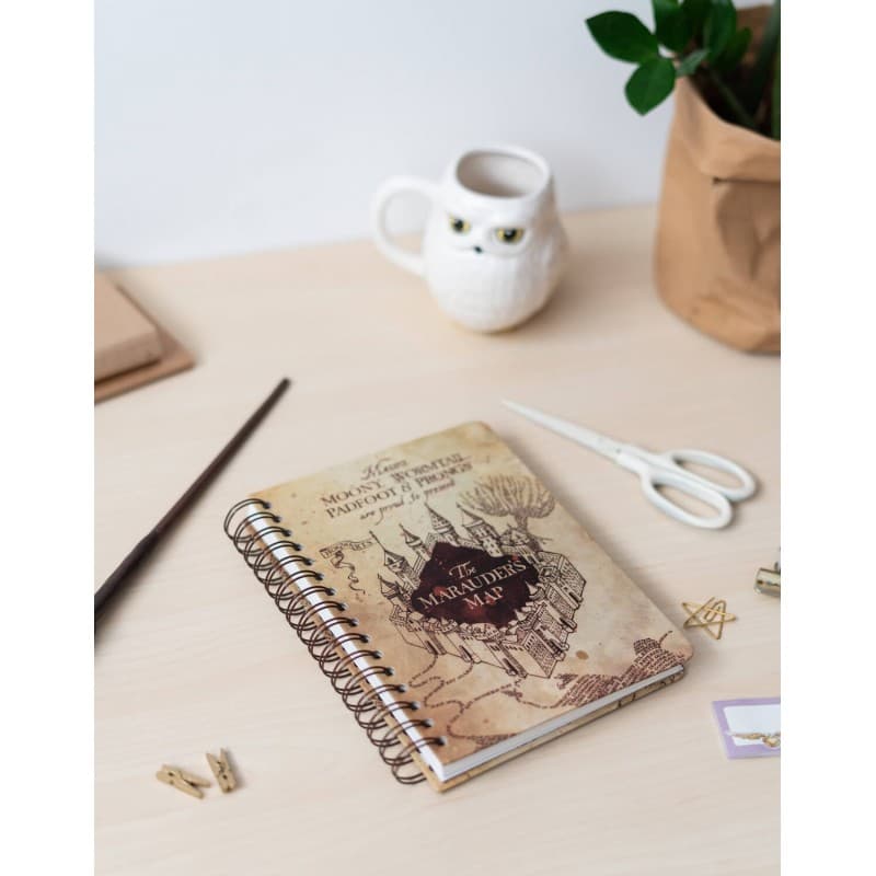 Harry Potter - Notebook / Notebook A5 5