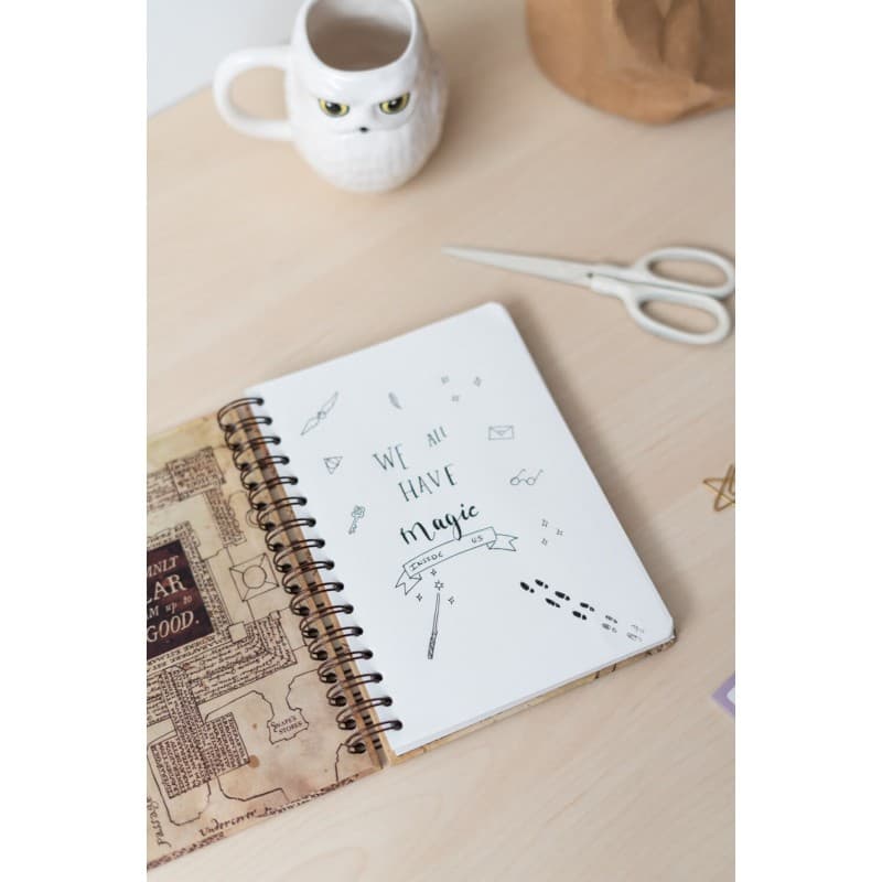 Harry Potter - Notebook / Notebook A5 6