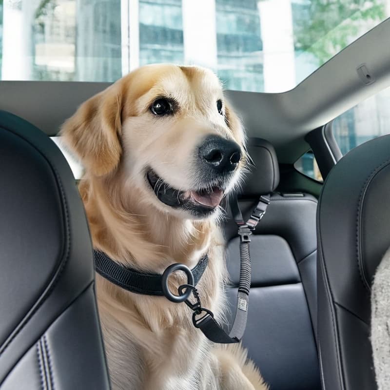 Spigen PS100 - Pet Car Seatbelt / Leash (Black) 8