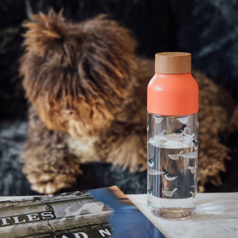 Quokka Ice - ecozen Water Bottle 720 ml (Birds) 4