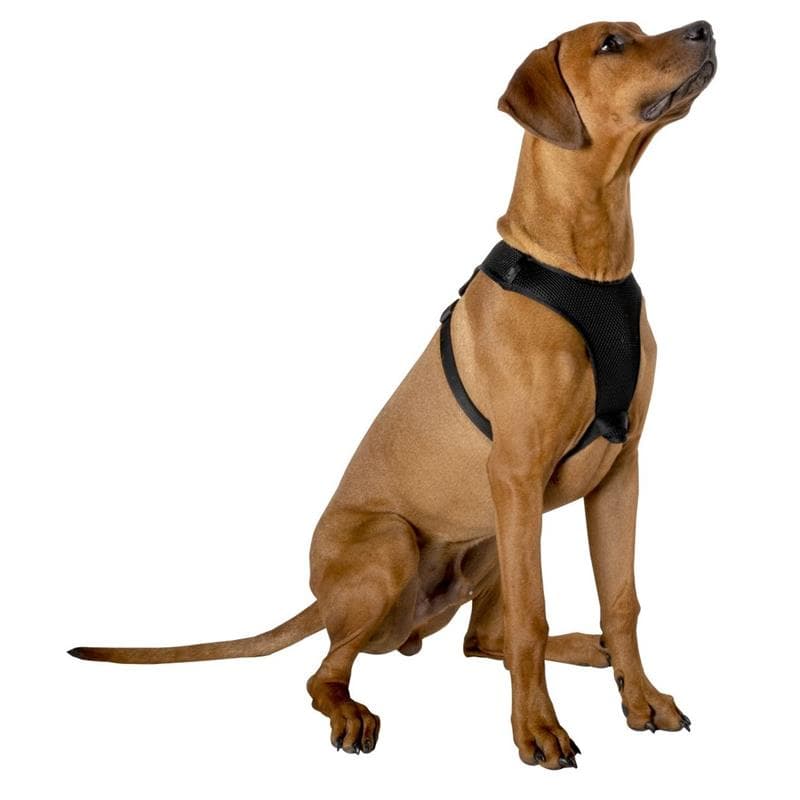 Harness / dog harness 67.6 x 106.5 cm size. L (black) 2