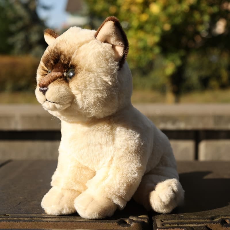 Rappa - Plush realistic mascot Ragdoll cat sitting 23 cm Eco-Friendly Soft Collection 6