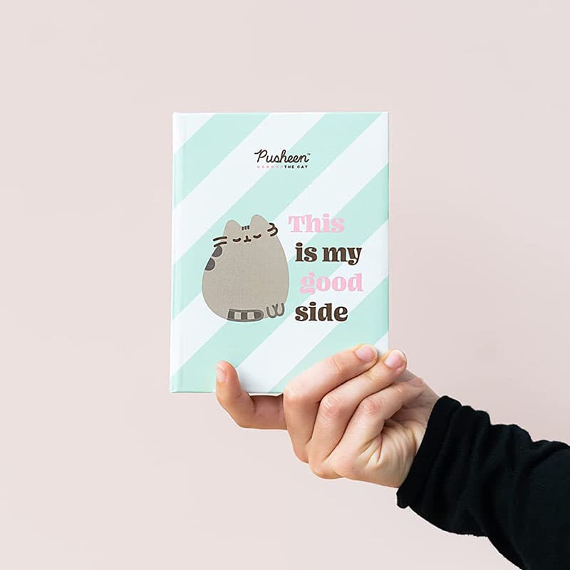 Pusheen - Photo album for 100 photos 10x15 cm 7