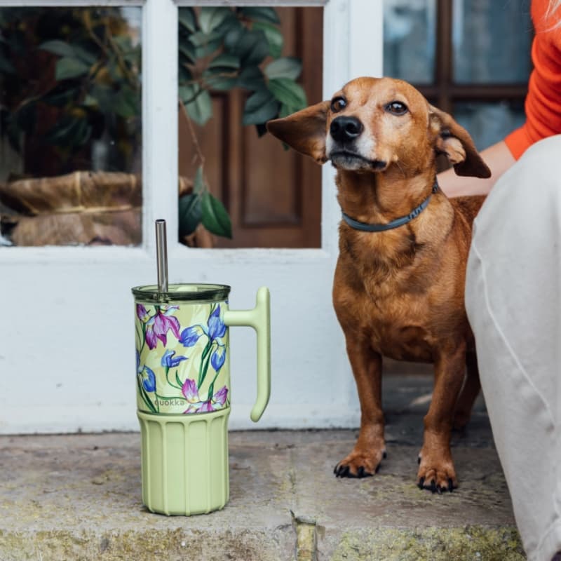 Quokka Umi - Stainless Steel Thermal Mug 720 ml with Straw and Silicone Coaster (Green Tea) 3
