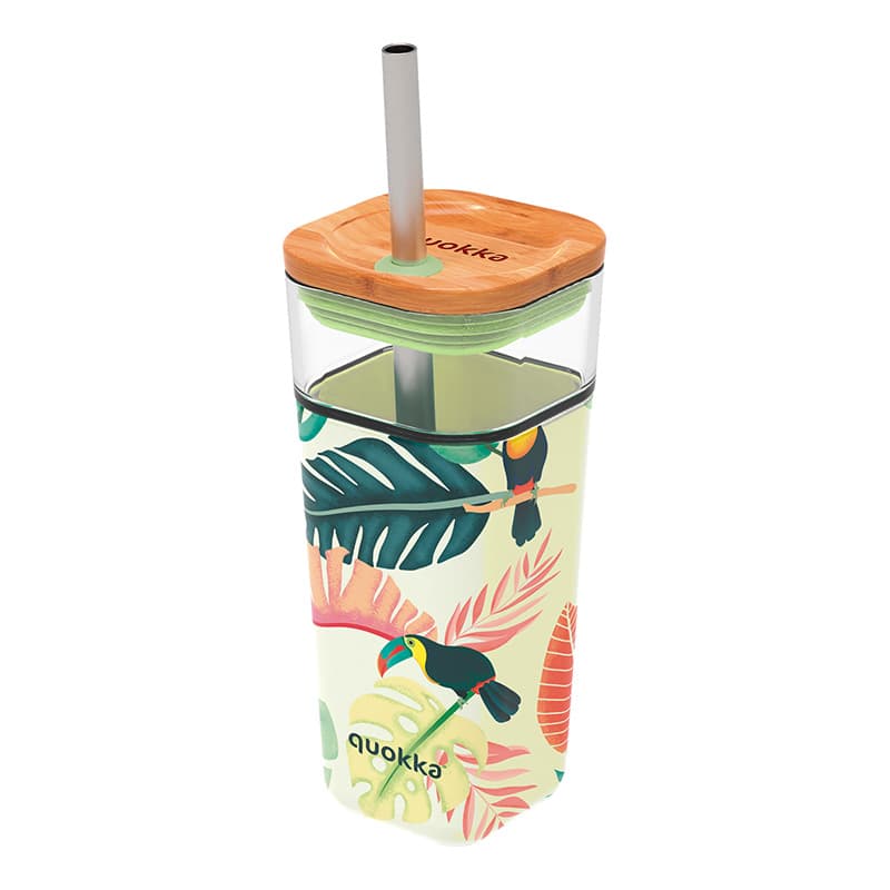 Quokka Liquid Cube - 540 ml Glass Cup with Stainless Steel Straw (Tropical Toucans)