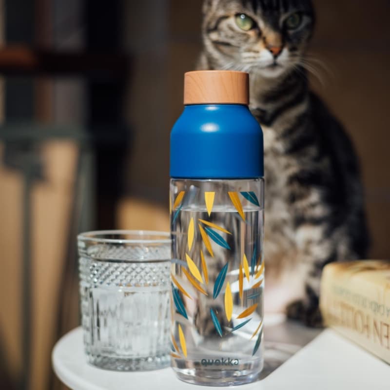Quokka Ice - ecozen Water Bottle 720 ml (Bamboo) 4