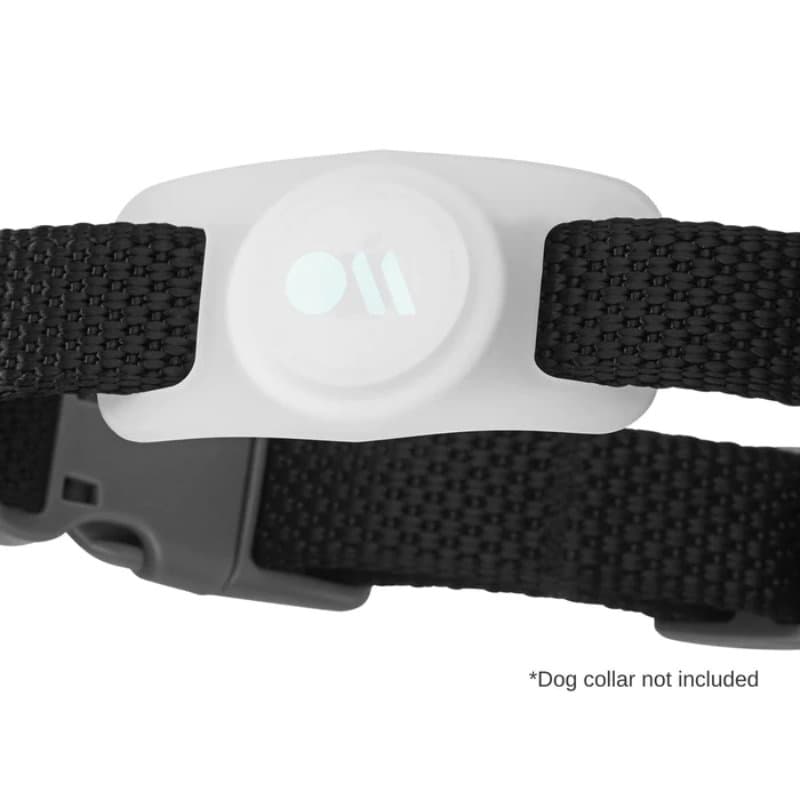 Case-Mate Dog Collar Mount - Case for Apple AirTag 1 / 2 (glow-in-the-dark) 3