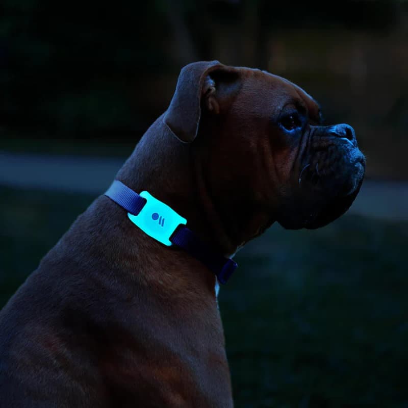 Case-Mate Dog Collar Mount - Case for Apple AirTag 1 / 2 (glow-in-the-dark) 6
