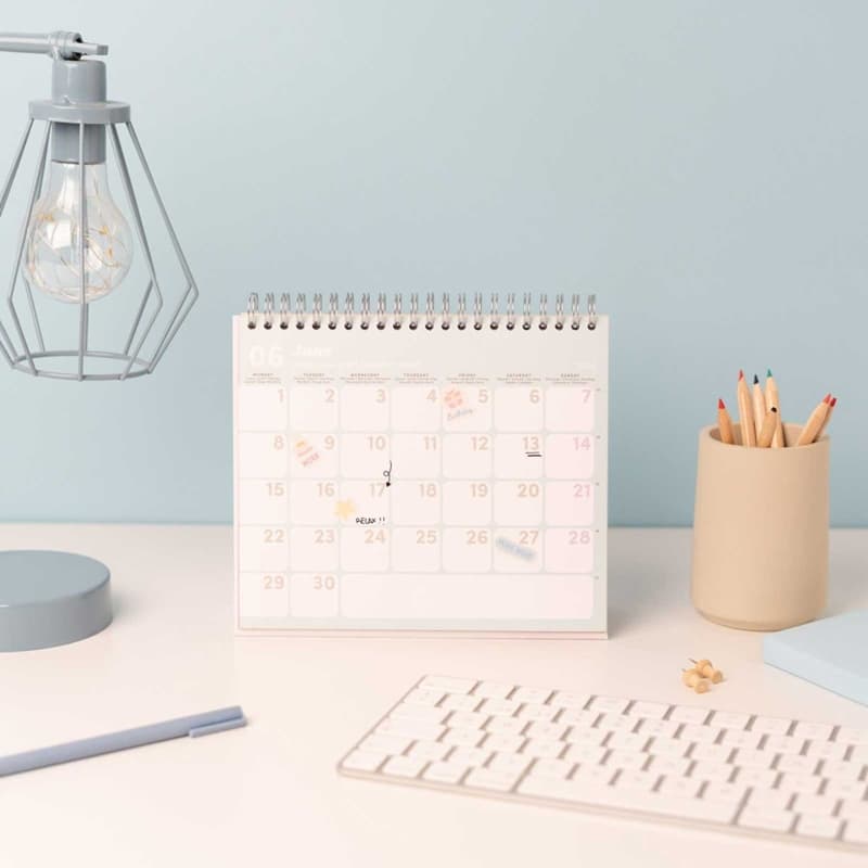 Pusheen - Desk Calendar 2026 17x20 cm 8