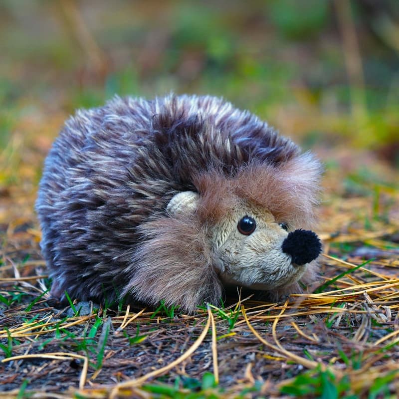 Rappa - Plush Realistic Toy Hedgehog 17 cm Eco-Friendly 4