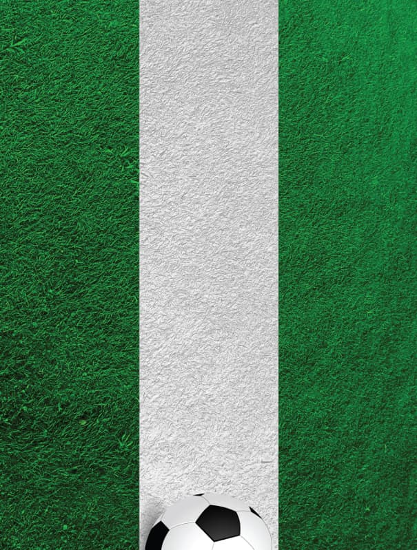 Nexgen Skins with 3D effect for iPad 2/3/4 (Soccer Field 3D) 2