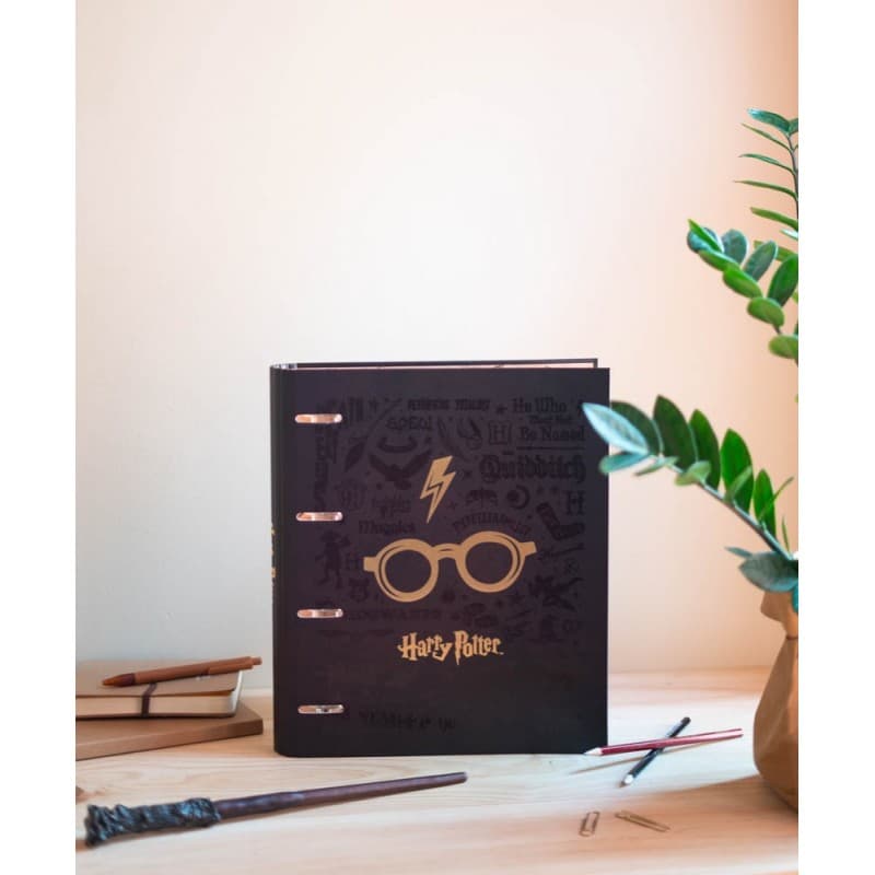 Harry Potter - A4 binder (4 rings, elastic) 4