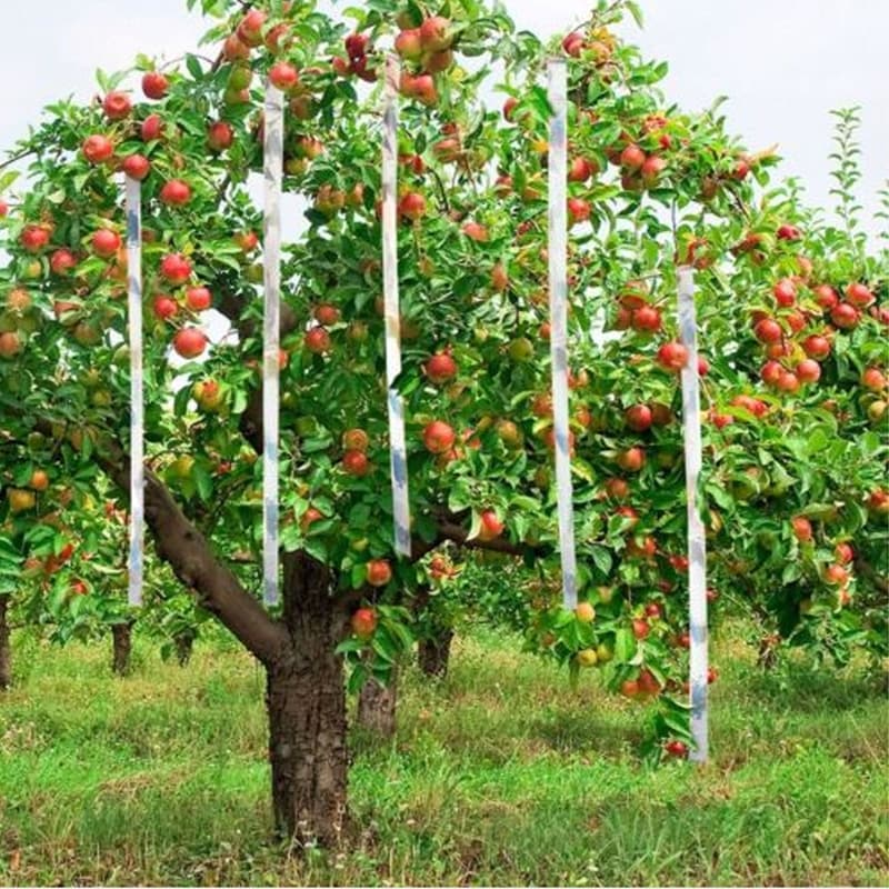 Kinzo - Bird repellent tape for garden trees, 45 m long 8