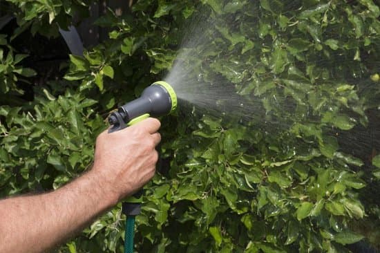 Kinzo - Set of watering guns 3 pcs. 7