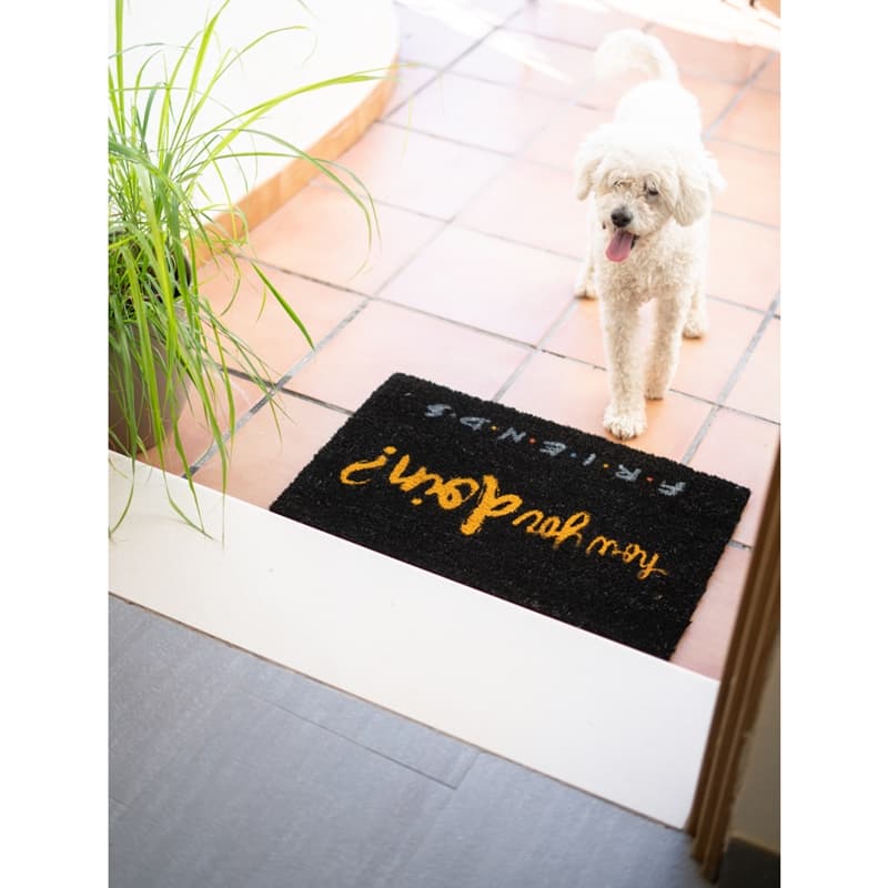Friends - Doormat 7